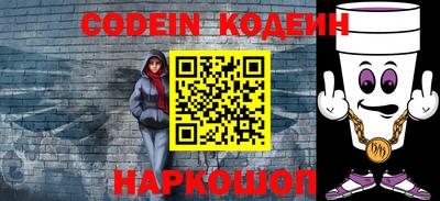 индика Обнинск