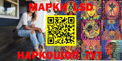 индика Обнинск