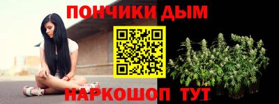 индика Обнинск