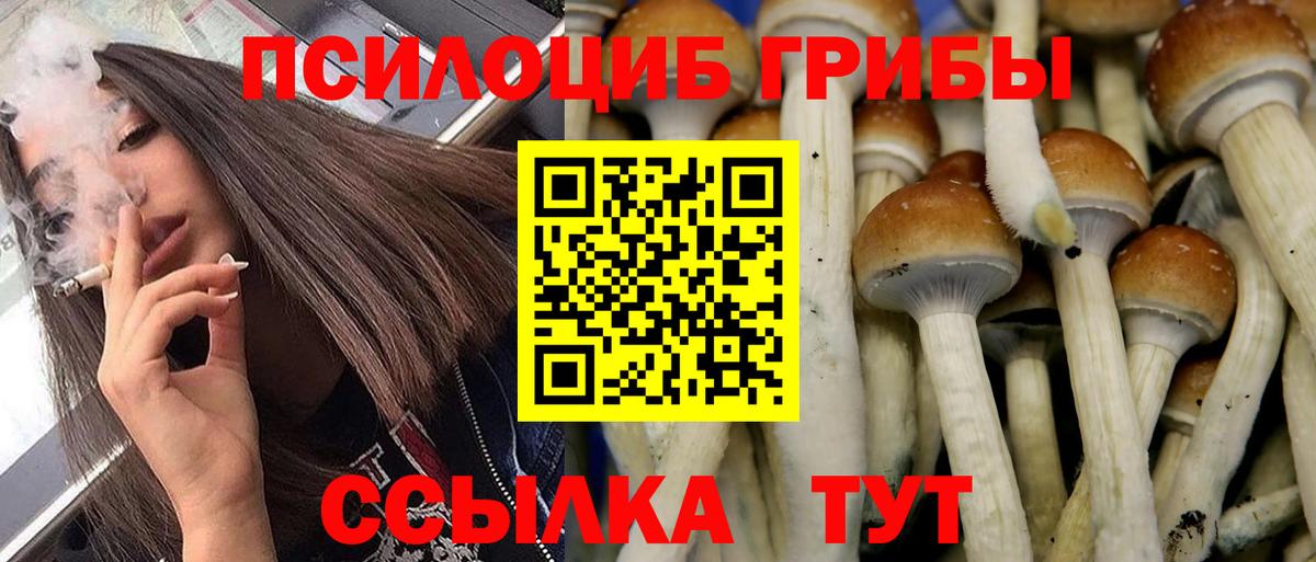 Галлюциногенные грибы MAGIC MUSHROOMS Урус-Мартан