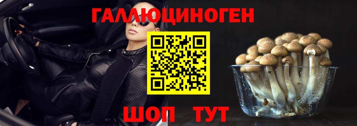 Псилоцибиновые грибы прущие грибы  Вход с VPN  Урус-Мартан 